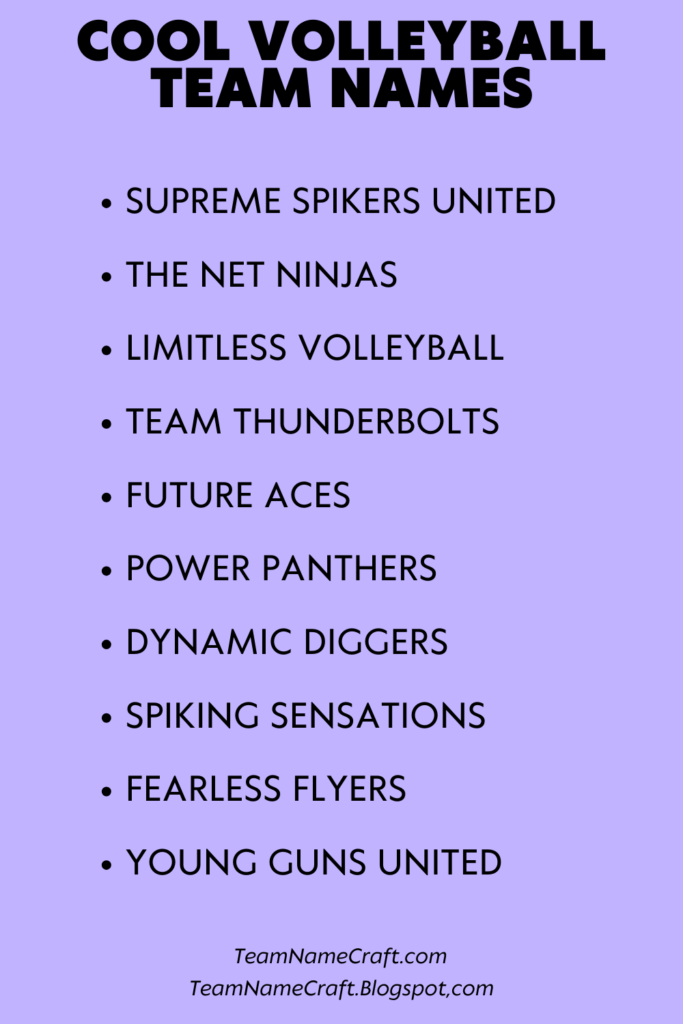 cool volleyball team names