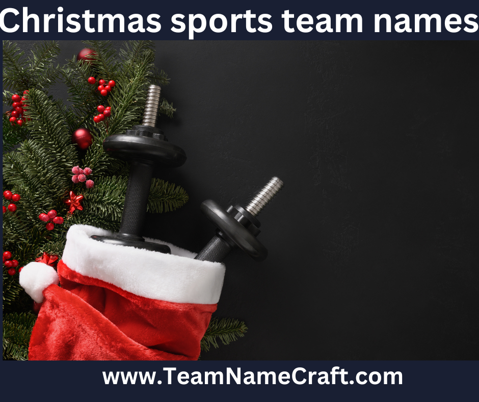 christmas sports team names